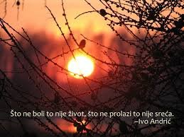 112866-images.jpg, 12 KB